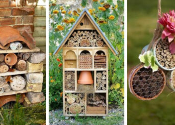 Навіщо потрібний будиночок для комах у саду?