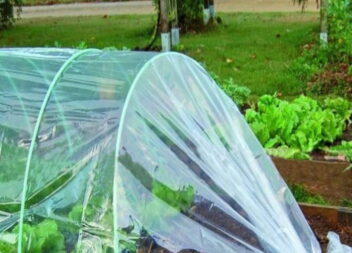 Як вибрати плівку для парника або теплиці