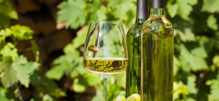 Особливе вино на Drink Me: Pet-Nat, безалкогольне, біодинамічне, веган, кріплене та органічне